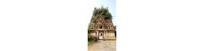 103. திருவிளநகர்